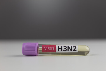 Test tube labeled H3N2 virus. Concept of influenza virus diagnosis, laboratory testing, and infectious disease detection. Close-up on a gray background.