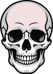 Fototapeta premium Human skull vector image presented in a front view on a black background for anatomical studies or Halloween concepts