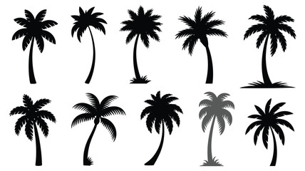 Fototapeta premium Diverse collection of ten black palm tree silhouettes with various shapes and heights