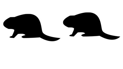 A minimalist design featuring a black beaver silhouette set against a vertically divided black and white background
