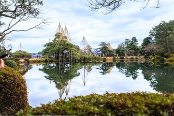 Tranquil Pond and Snow-Roped Pine Trees in Kenrokuen Garden, Kanazawa, Japan