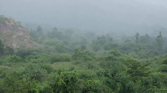 Misty mountain forest under gentle tropical rain, soft fog drifting through lush green trees and mossy rocks creating calm serene atmosphere. Tranquility.