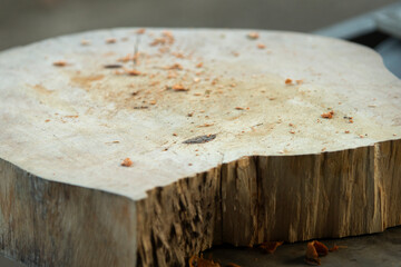 Wooden cutting board with sawdust, closeup of photo.
