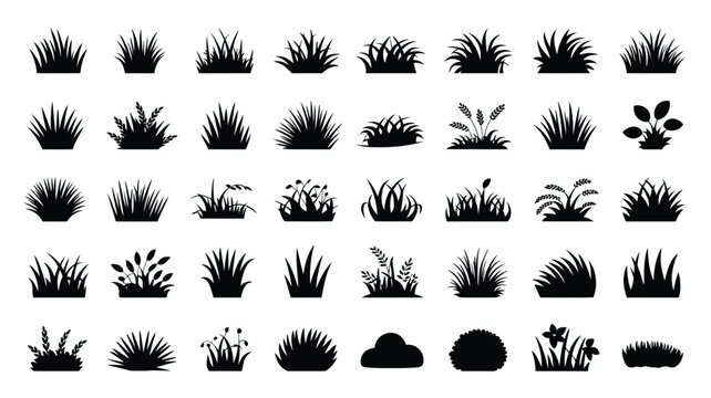 Many different black silhouette grass clumps and small plants are shown against a white background