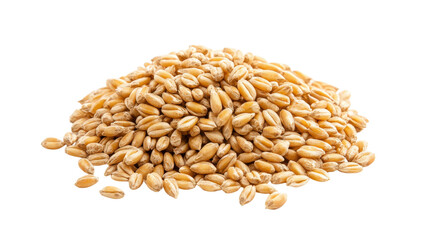 Fototapeta premium A pile of wheat grains on a white background. The grains are scattered and piled up in various sizes. Concept of abundance and natural beauty