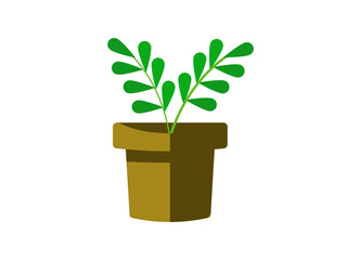 Fototapeta premium a cute potted plant