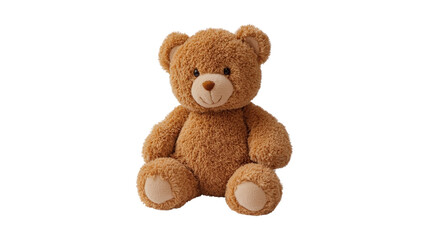 Obraz premium A teddy bear is sitting on a white background