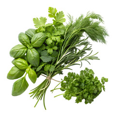 Fresh Green Culinary Herbs Bundle on transparent background