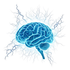 Digital Brain Network Illustration on transparent background