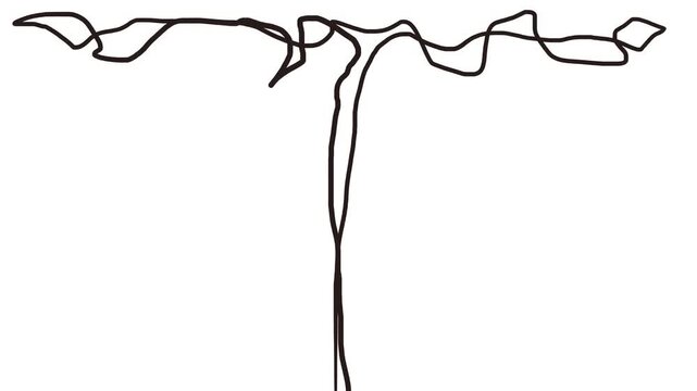 Lines stretch from bottom to top, diverging to the sides and changing.