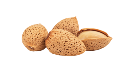 A close-up of four almonds, with one of them cut in half