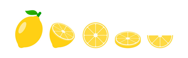 lemon vector in various slices