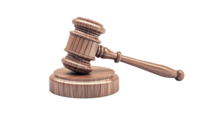 A wooden gavel sits on a wooden base. The gavel is a symbol of authority and power
