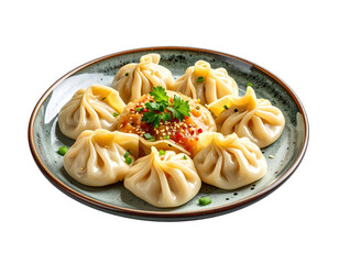 Close-up of delicious asian dumplings on a decorative plate