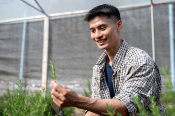 Happy farmer man in checkered shirt holding and looking at herb plant while working in a greenhouse.
