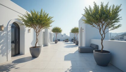 Modern rooftop patio with potted trees and minimalist decor