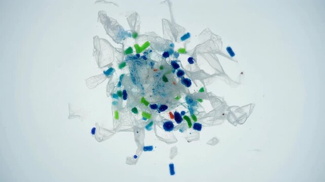 Microscopic view of a biological sample with bacteria and cells. 4k Footage Video