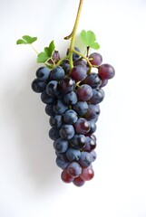 Fototapeta premium grape isolated on a pure white background