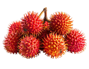 Group of exotic, spiky red-orange fruits clustered on a brown stem