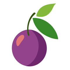 Plum Fruit on Cherry Leaves Vector Illustration