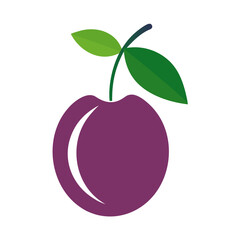 Plum Fruit on Cherry Leaves Vector Illustration