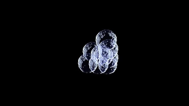Microscopic view of cell division and growth in a dark environment.