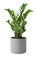 Plant care tips home guide cozy environment isolated on transparent background