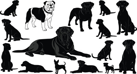 Collection of Different Dog Breeds Vector Illustrations, Including Bulldog, Labrador, and Chihuahuas, Featuring Black Silhouettes and Detailed Outlines for Animal, Pet, and Canine Concepts
