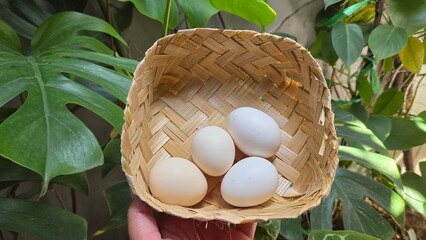 easter eggs in a basket