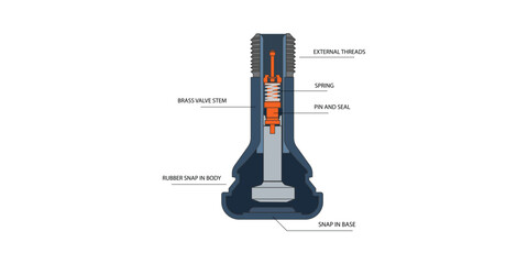 Illustrator of a tire valve stem cross-section diagram. Automotive Schrader valve vector illustration showing internal structure with spring, core pin, rubber housing for vehicle maintenance concepts.