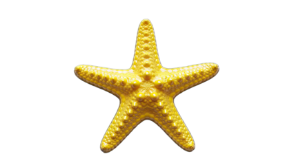 Yellow Starfish Isolated on White Background