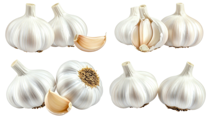 Cloves and whole bulbs of white, textured Allium sativum, isolated