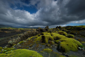 Lava and moss