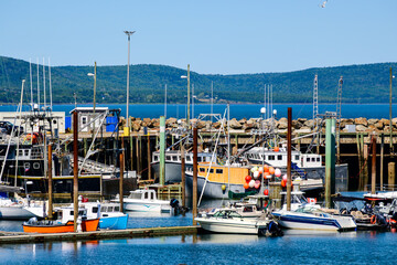 Summer in Digby Harbour, Nova Scotia. Commercial fishing trawlers and pleasure boats docked at the marina with Annapolis Valley hills and Bay of Fundy waters under a clear blue sky.