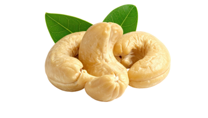 Close-up of three roasted nuts with green leaves on black background