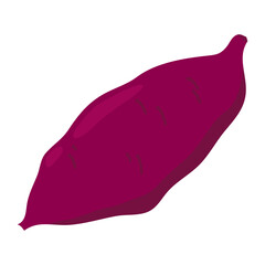 さつまいものイラスト　炭水化物の多い野菜