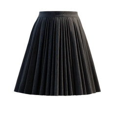 A stylish black pleated skirt, perfect for various occasions. or transparent background