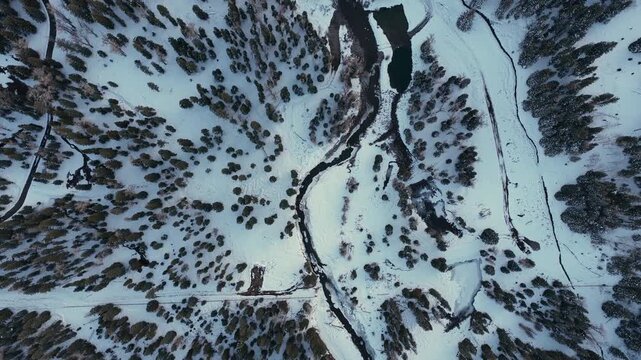 Unique top-down shot of a frozen river winding through a snow-covered pine forest. The scene captures the stunning natural fractals and patterns of the winter wilderness in Wolf Creek, Colorado.