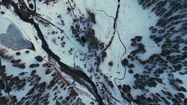 Unique top-down shot of a frozen river winding through a snow-covered pine forest. The scene captures the stunning natural fractals and patterns of the winter wilderness at Wolf Creek, Colorado.