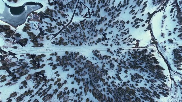 Unique top-down shot of a road cutting through a dense snow-covered pine forest, with a small structure visible. The scene captures the high-altitude winter wilderness at Wolf Creek, Colorado.