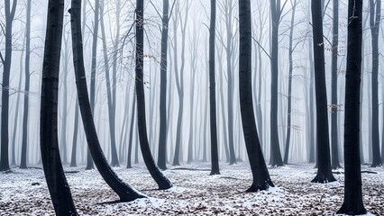 A serene winter forest scene with snow covered trees and a misty atmosphere on a cold day
