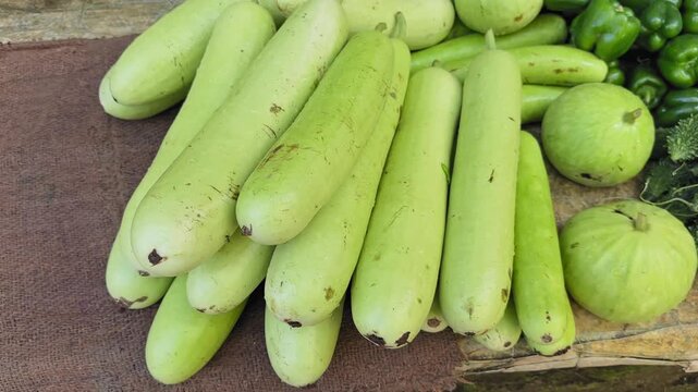 Fresh bottle gourds stacked on cloth at an Indian sabzi mandi, pale green skins with natural marks as camera orbits gently, capturing texture, volume, and market freshness.