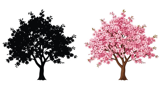 Contrasting trees one dark silhouette and one blossoming pink cherry tree