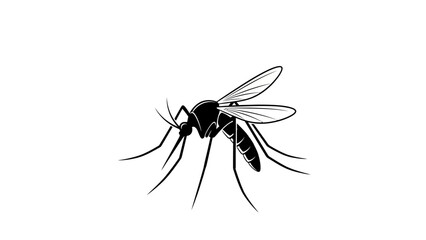 Detailed illustration of a mosquito insect with wings and long legs. © Icung