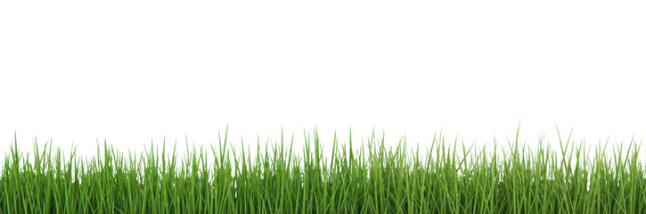 Obraz premium Fresh Green Grass Border, Lush Spring Meadow Lawn Isolated on Transparent PNG Background