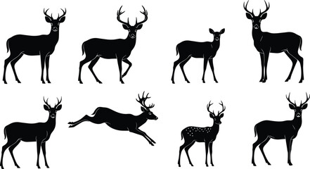 Black Silhouette Vector Set of Realistic Deer, Stags, and Bucks with Antlers, Including Fallow Deer, Running and Standing Poses.