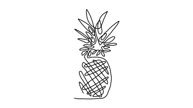 Continuous line animation of pineapple