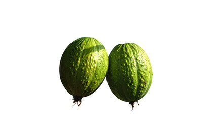 Two light-green, textured oval fruits against a black background