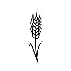 Simple black silhouette of wheat plant on white background