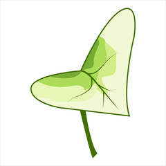 A vector illustration of a leaf with colored fills and soft hues, executed in a flat, decorative style